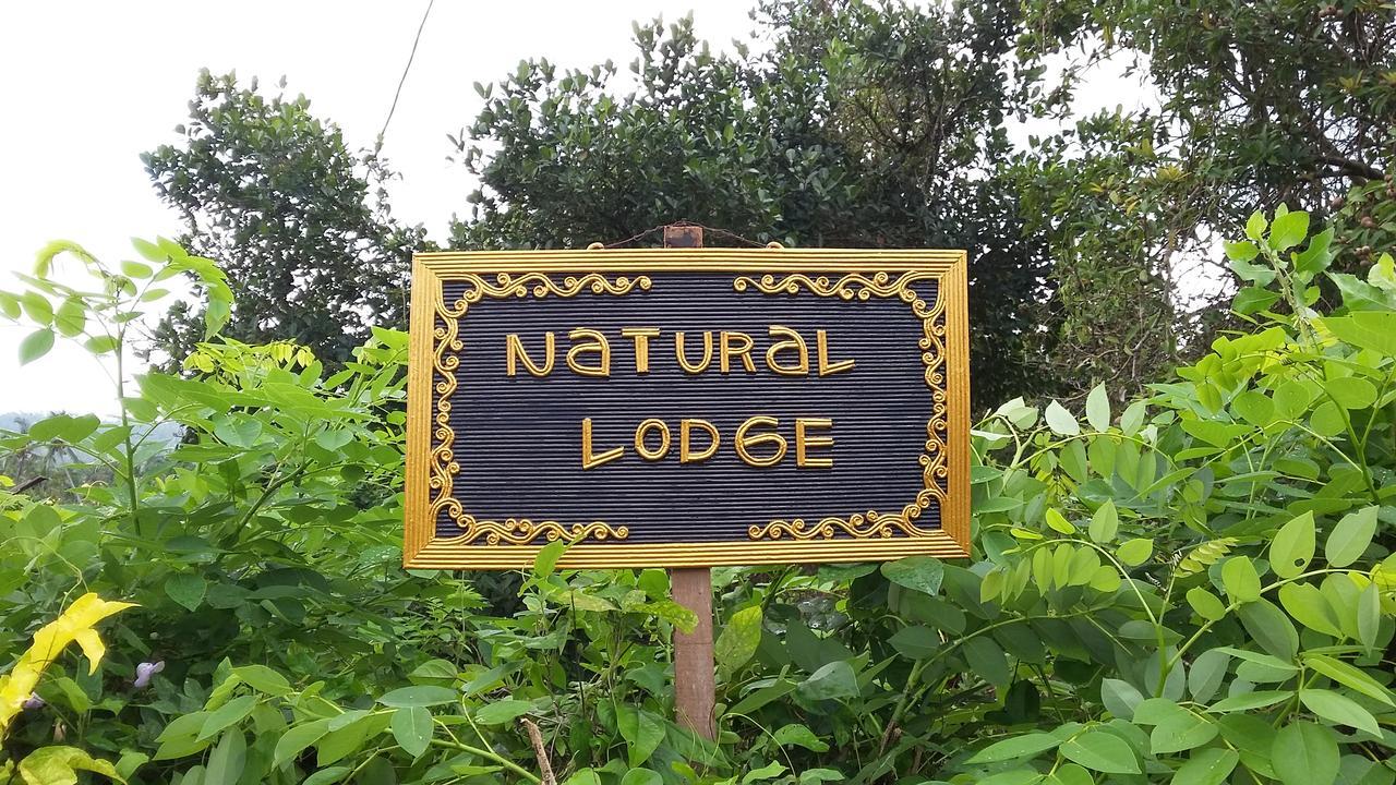 Natural Lodge 2 Selemadeg  Dış mekan fotoğraf